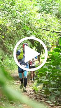 BIB:  <button type="button" onclick="openModal(26821045)" class="btn btn-primary btn-sm float-right" data-toggle="modal" data-target=".modal-high-quality">
                <i class="fa fa-download"></i> Download
                </button>